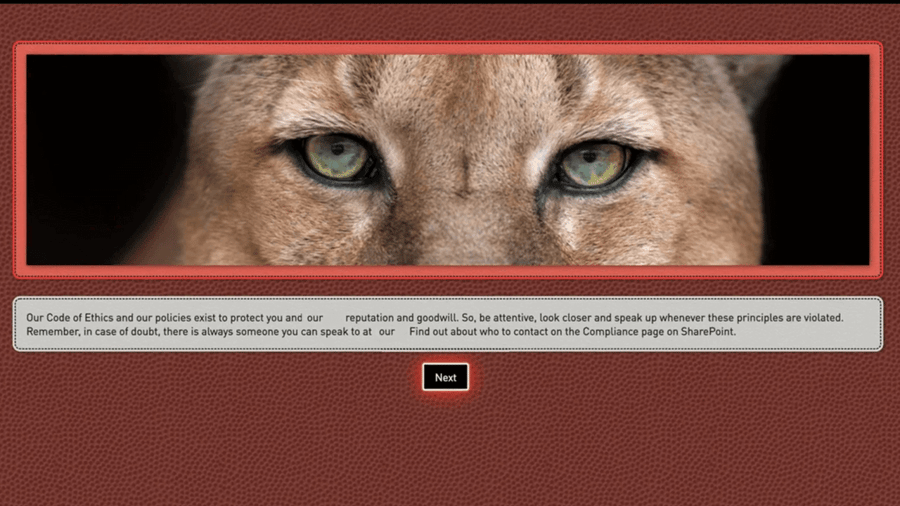 Bespoke Video Demo Thumbnail